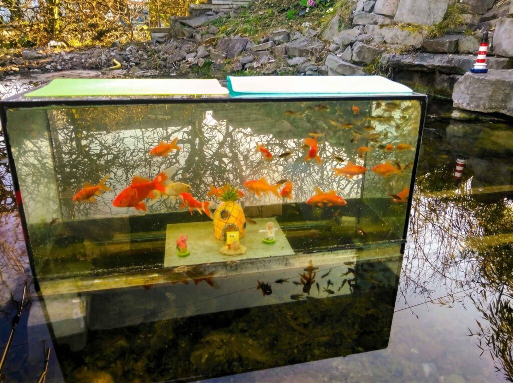 Aquarium-Element am Gartenteich